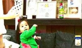 吃瓜娱乐小孩哥,小孩哥带你领略童趣世界